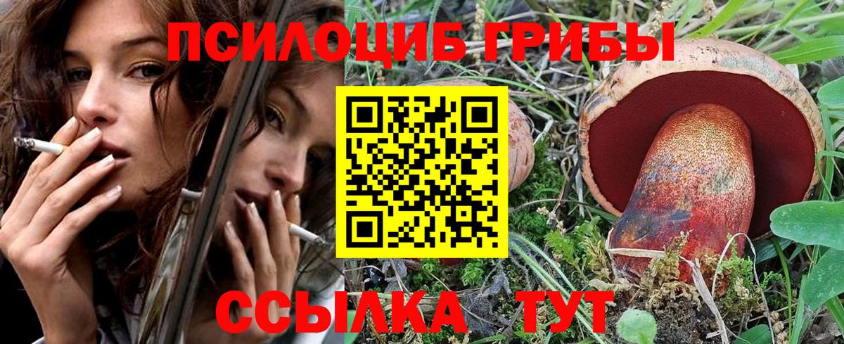 Галлюциногенные грибы Cubensis Балашов