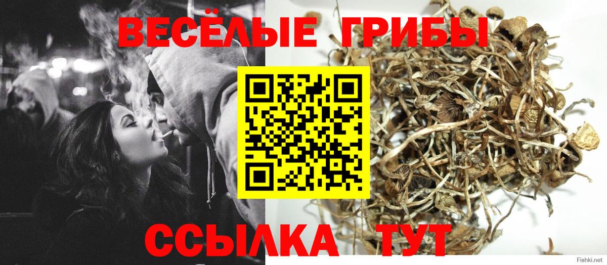 Галлюциногенные грибы GOLDEN TEACHER  Вход с VPN  Балашов 