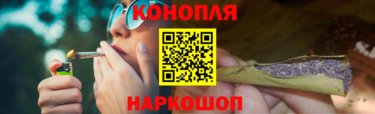 Бошки Шишки планчик Балашов